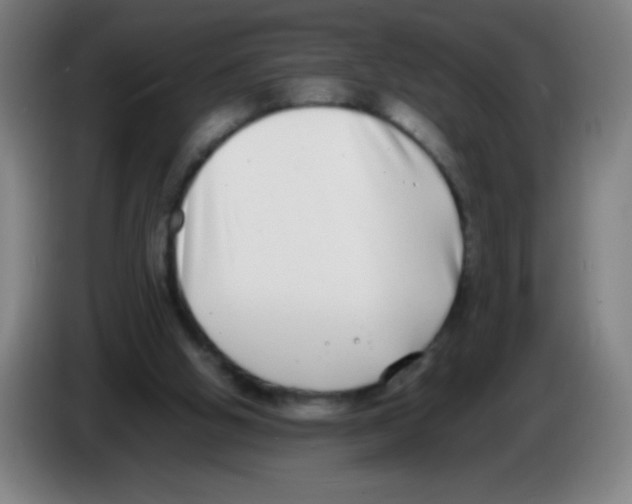 X0000086240058200704261924