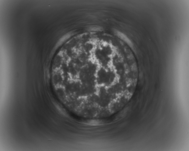 X0000086240059200704261924