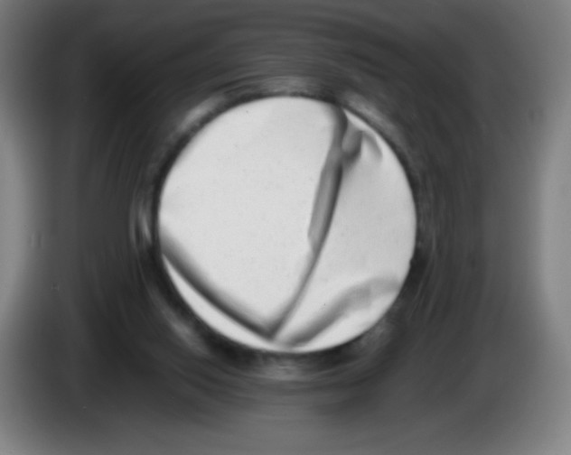 X0000086240062200704261924