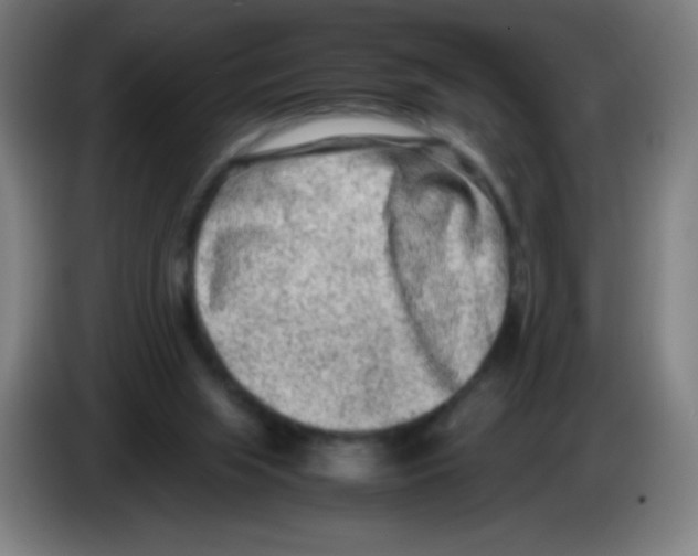 X0000086240063200704261924