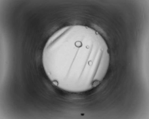 X0000086240065200704261924