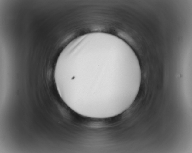 X0000086240066200704261924