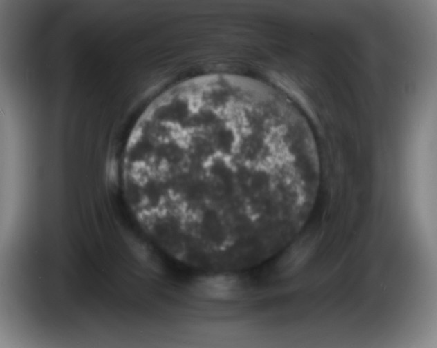 X0000086240067200704261924