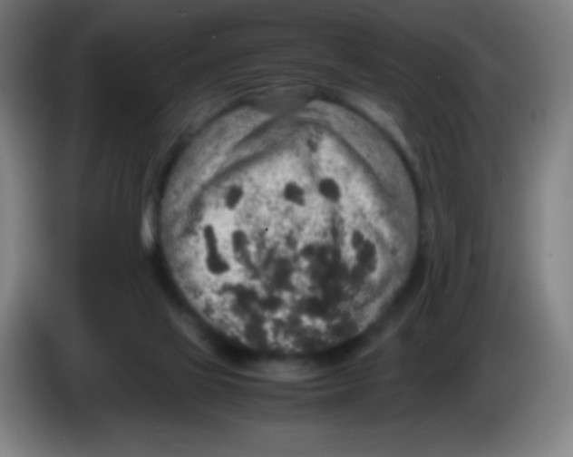 X0000086240069200704261924