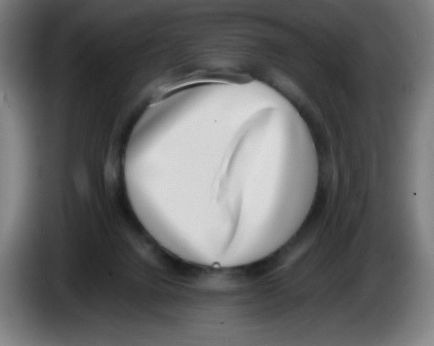X0000086240072200704261924
