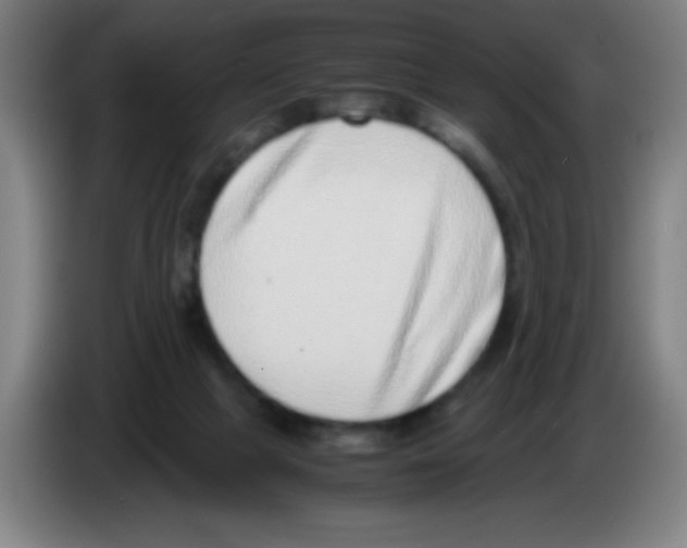 X0000086240073200704261924