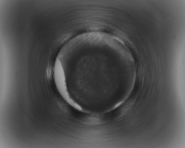 X0000086240076200704261924