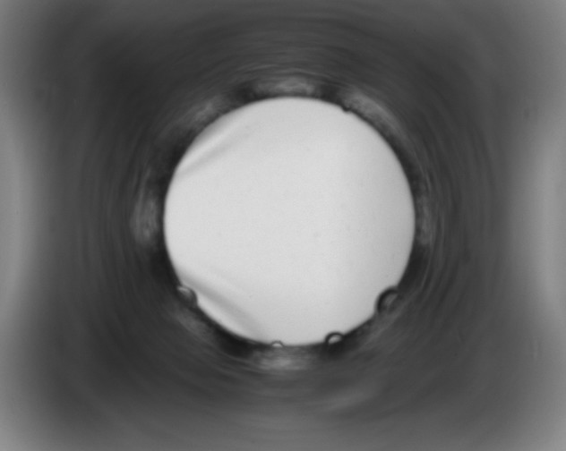 X0000086240077200704261924