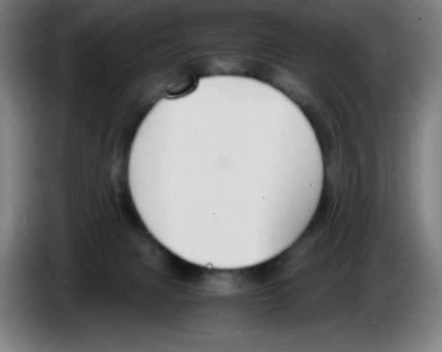 X0000086240079200704261924