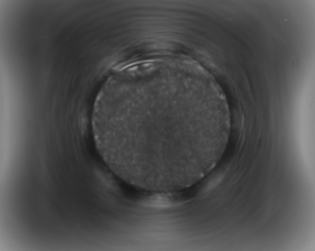 X0000086240080200704261924