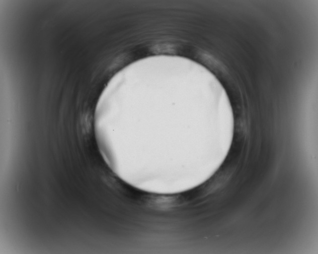 X0000086240081200704261924