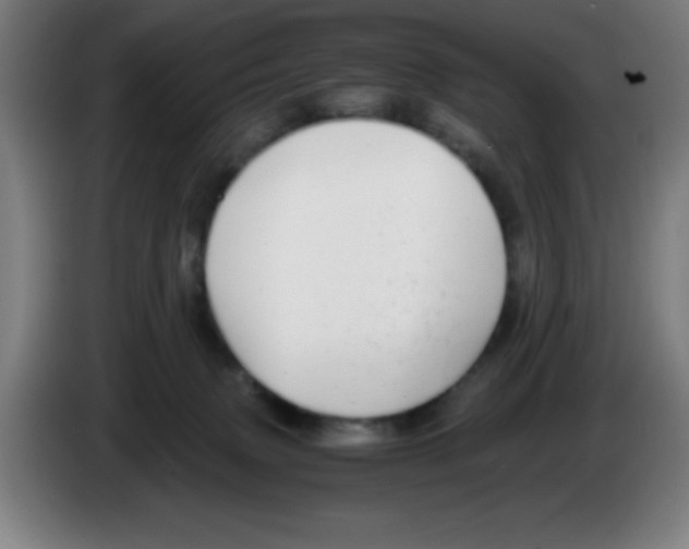 X0000086240083200704261924