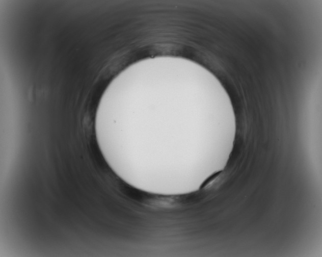 X0000086240086200704261924
