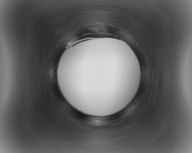 X0000086240088200704261924