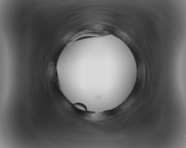 X0000086240092200704261924
