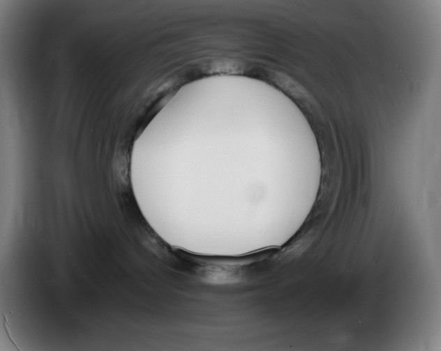X0000086240096200704261924