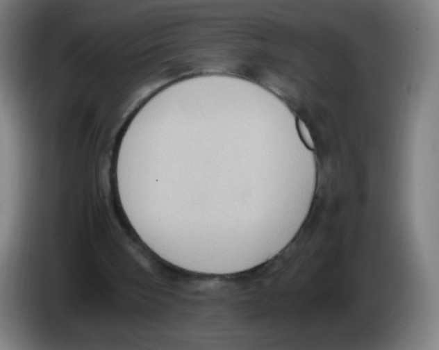 X0000086240098200704261924