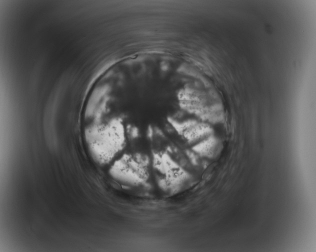 X0000086240099200704261924