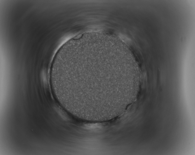 X0000086240100200704261924