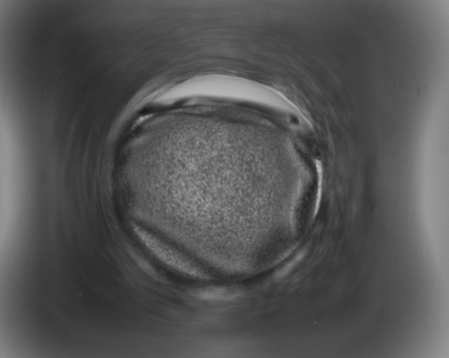 X0000086240101200704261924