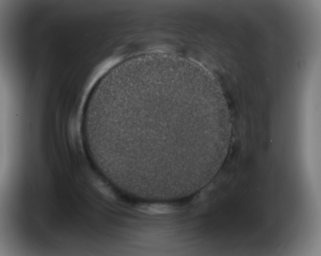 X0000086240104200704261924