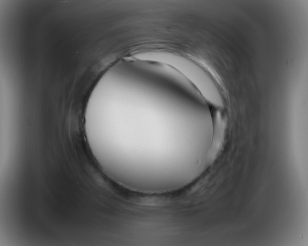 X0000086240105200704261924