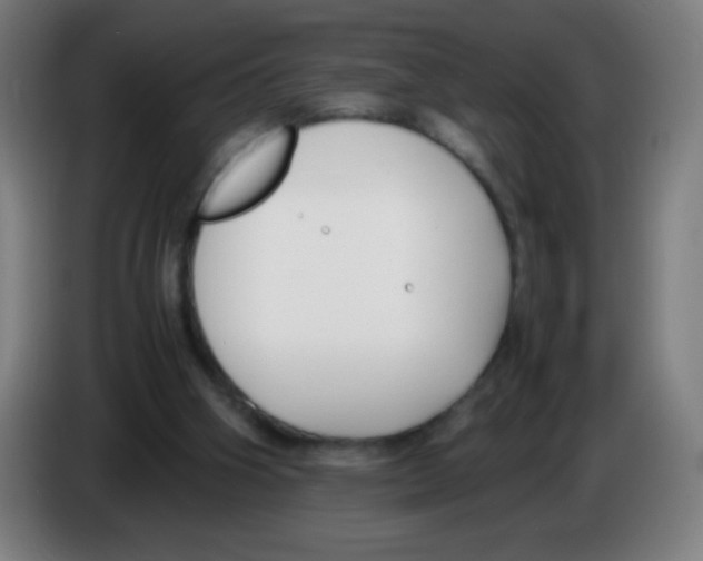 X0000086240106200704261924