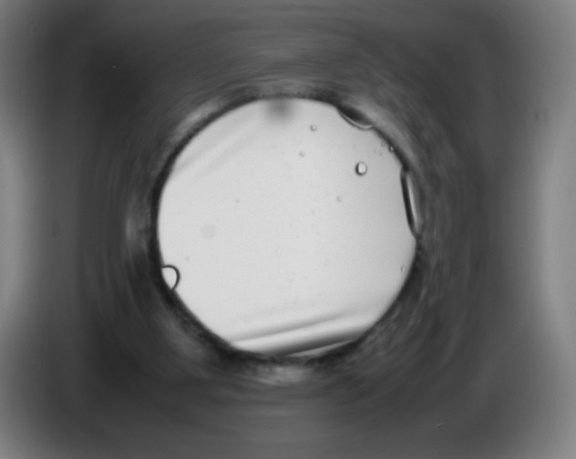 X0000086240107200704261924
