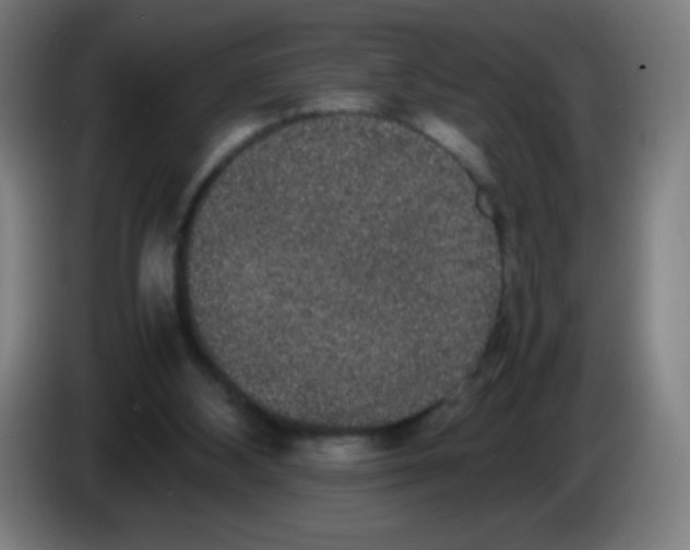 X0000086240108200704261924