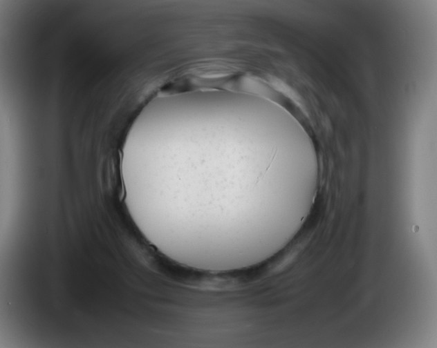X0000086240109200704261924