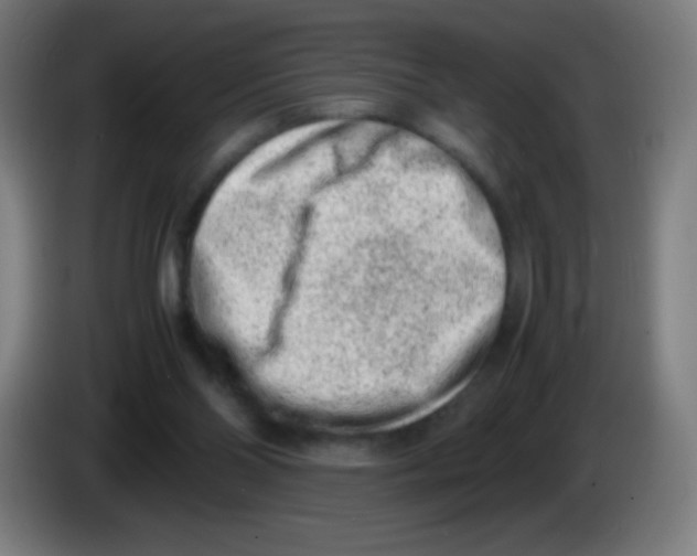 X0000086240110200704261924