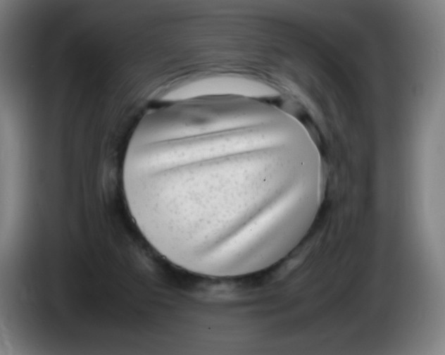 X0000086240113200704261924