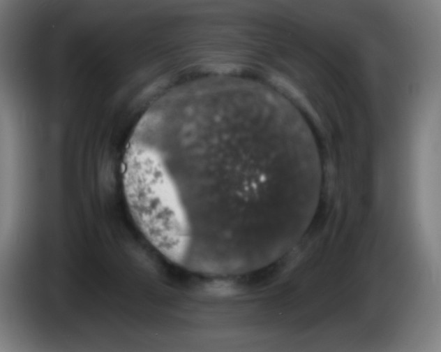 X0000086240114200704261924