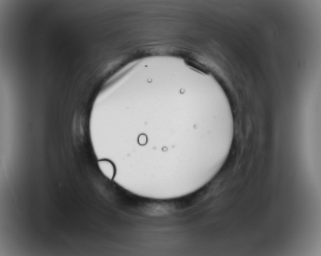 X0000086240115200704261924
