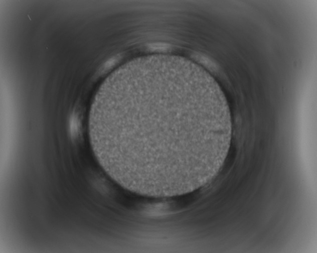 X0000086240116200704261924