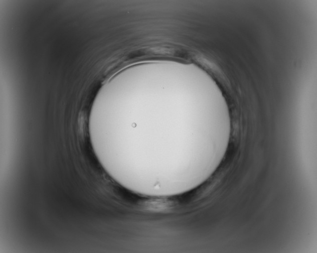 X0000086240121200704261924