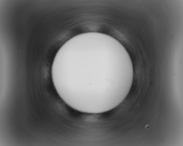X0000086240122200704261924