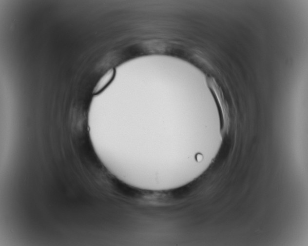 X0000086240125200704261924