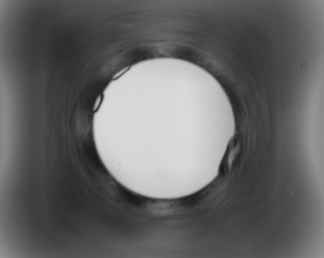 X0000086240129200704261923