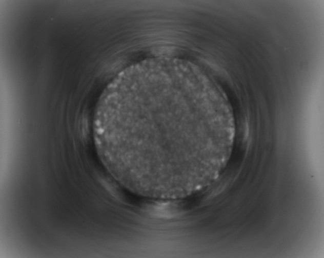 X0000086240130200704261923