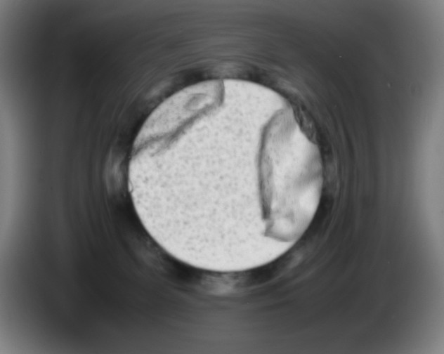 X0000086240131200704261923