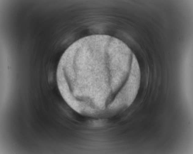 X0000086240134200704261923