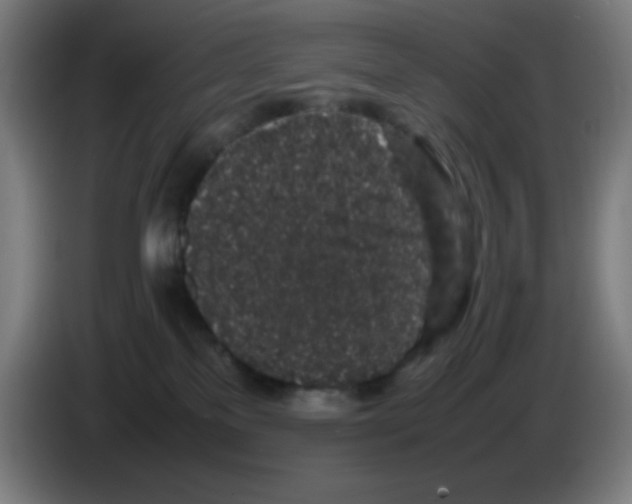 X0000086240137200704261923