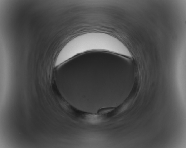 X0000086240139200704261923