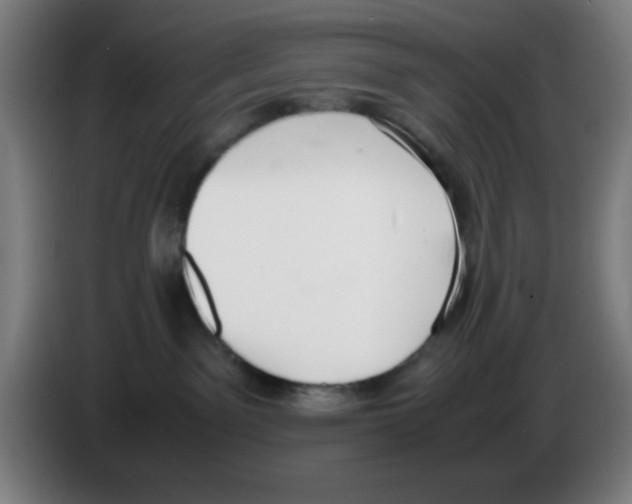X0000086240141200704261923