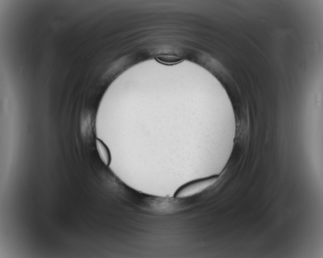 X0000086240142200704261923