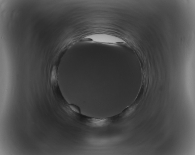 X0000086240143200704261923