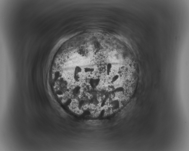 X0000086240145200704261923