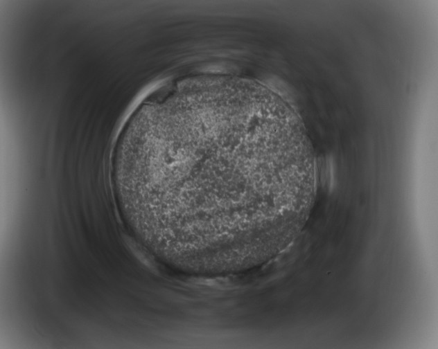 X0000086240147200704261923