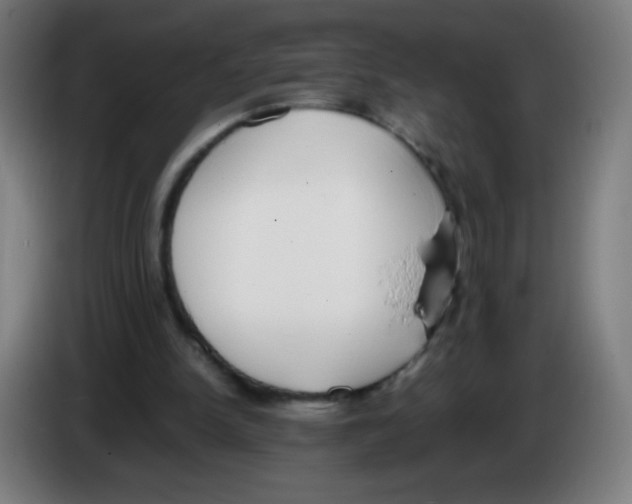 X0000086240150200704261923